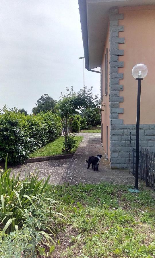 B&B Molin Del Topo Monte San Savino Exterior foto